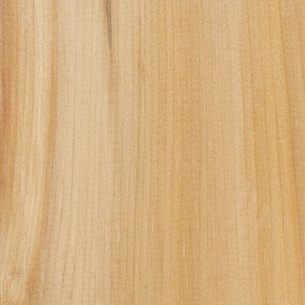 Cedar, White - Exotic Woods